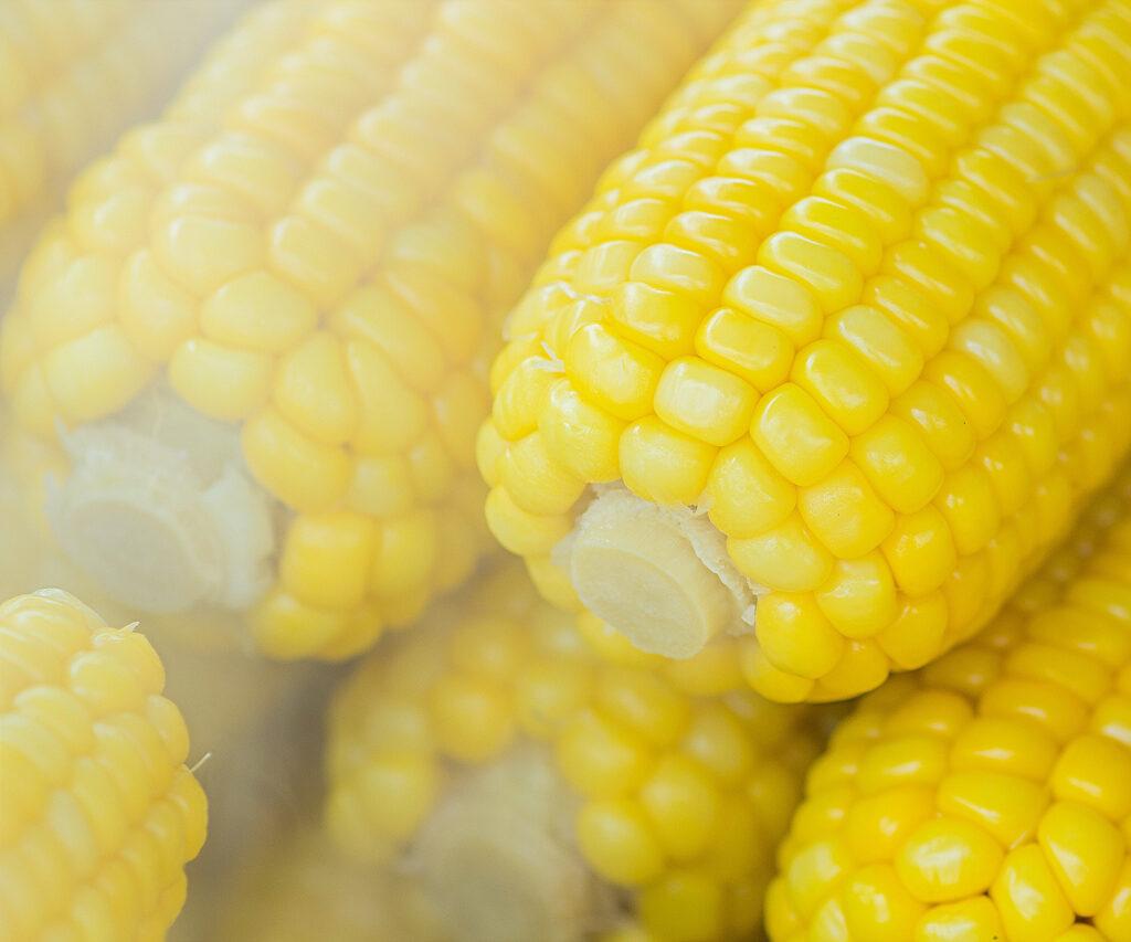 How to introduce and serve corn by Starting Solids Australia