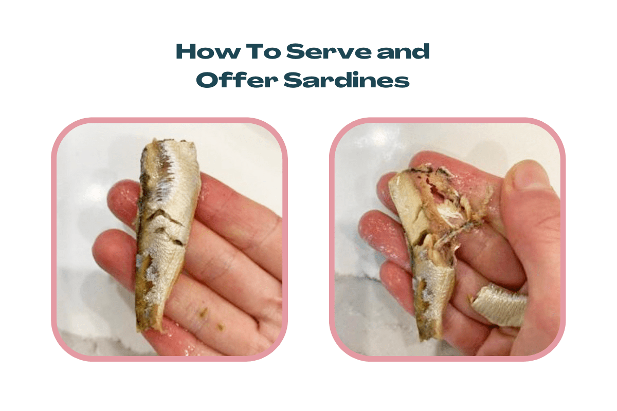 How to Offer and Serve Sardines examples by Starting Solids Australia