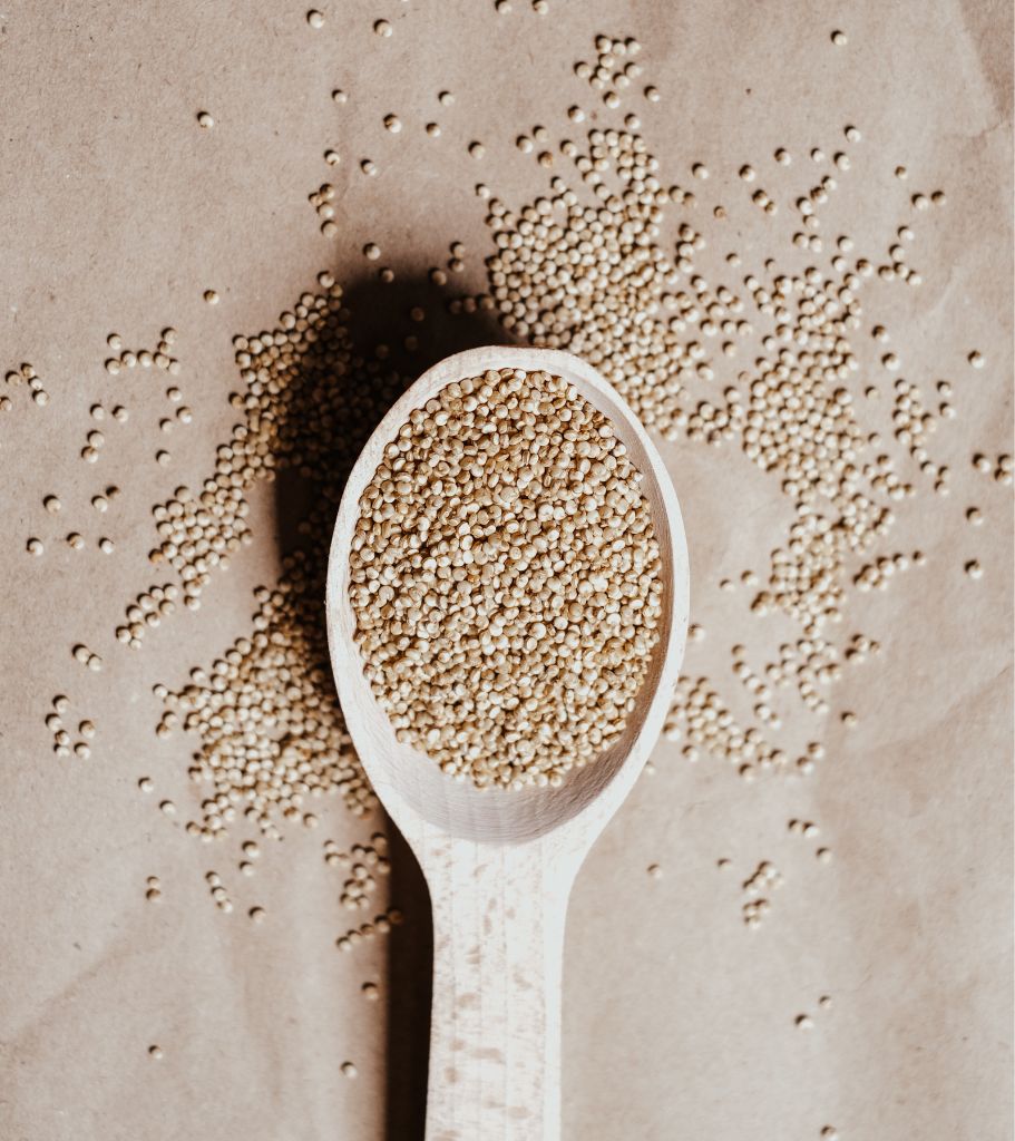 Quinoa on a spoon