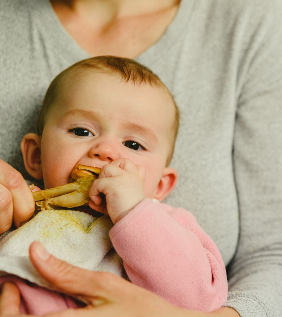 Image of baby eating iron rich meat by Starting Solids Australia