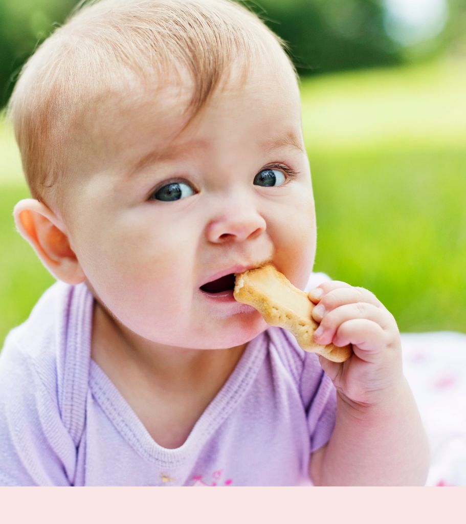 image of baby eating a rusk or biscuit by Starting Solids Australia