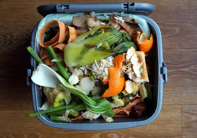 Birdseye view of food waste in a bin.