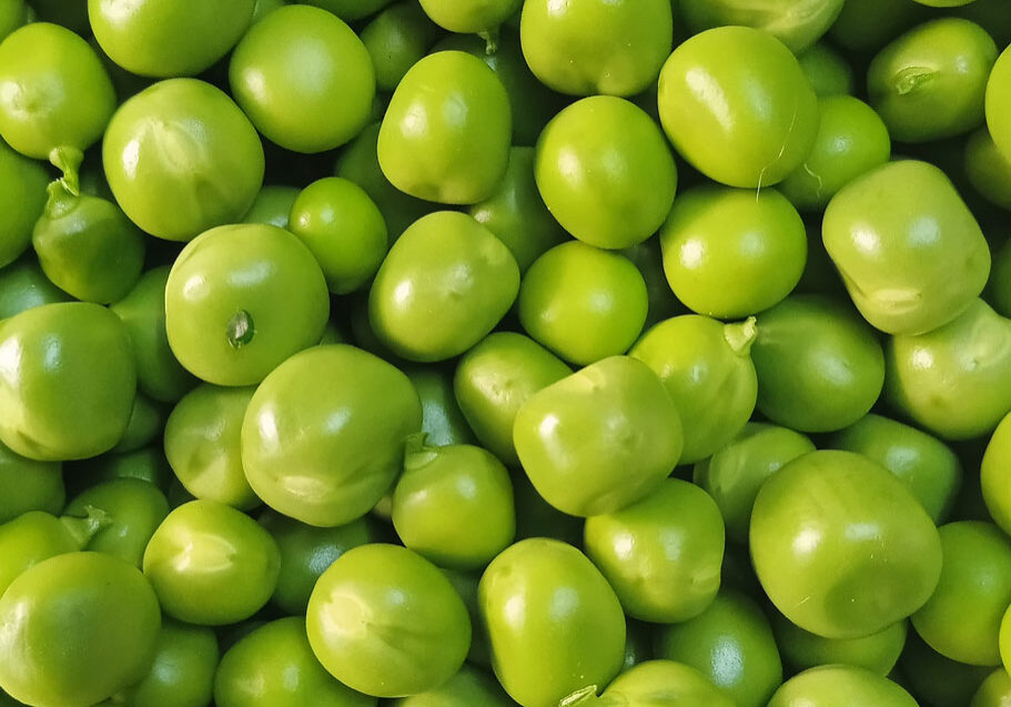 How To Serve Peas resource article by Starting Solids Australia