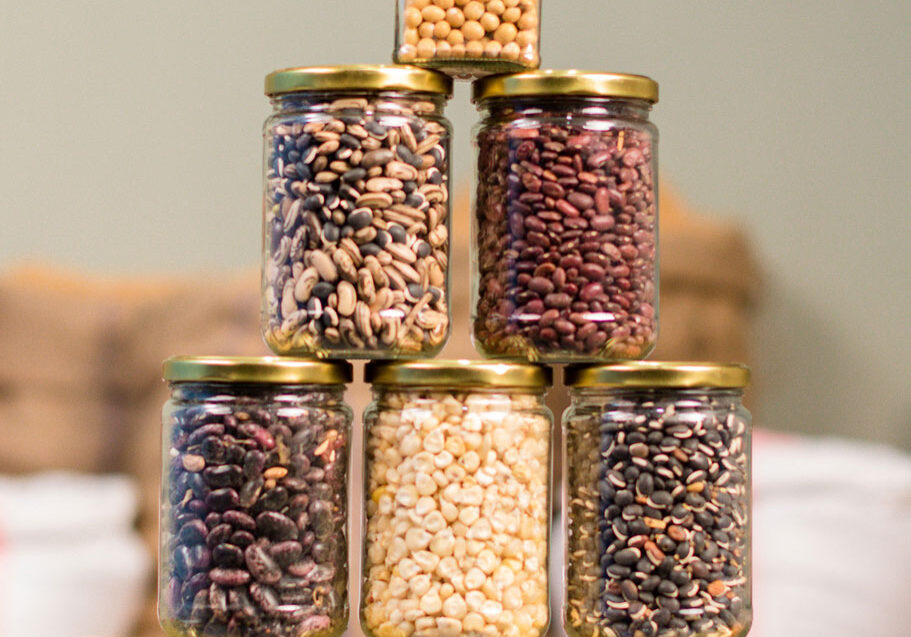 How to introduce and serve legumes article by Starting Solids Australia