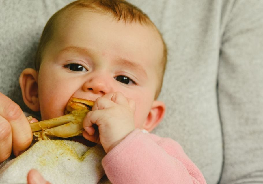 Image of baby eating iron rich meat by Starting Solids Australia