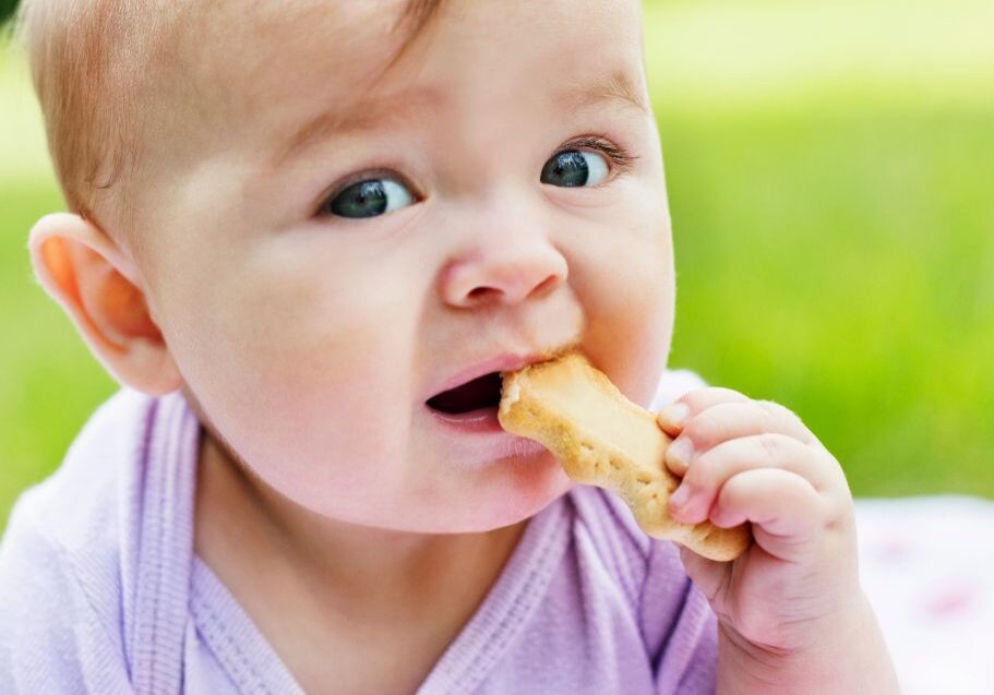 image of baby eating a rusk or biscuit by Starting Solids Australia