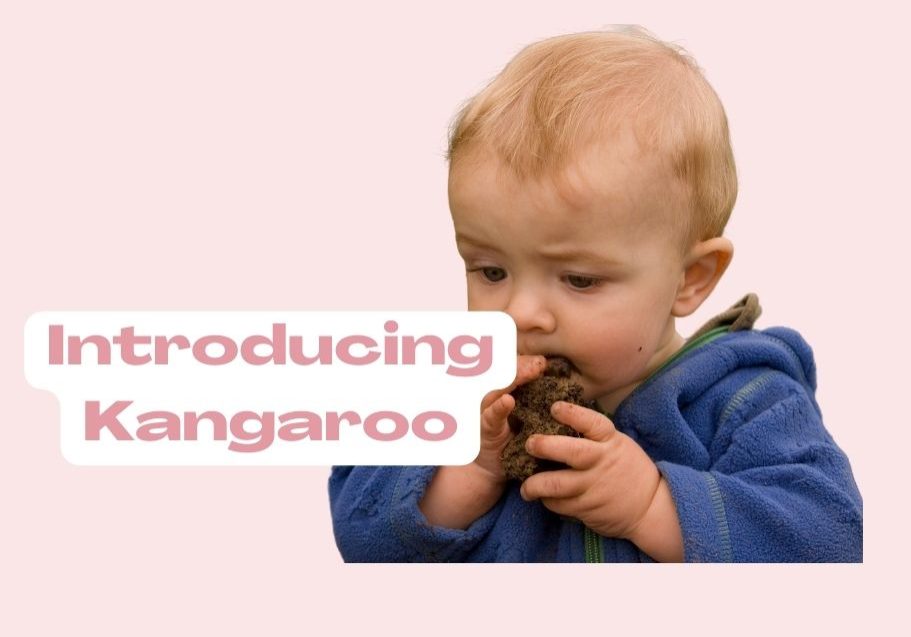 imagine of a baby eating iron rich red meat by Starting Solids Australia