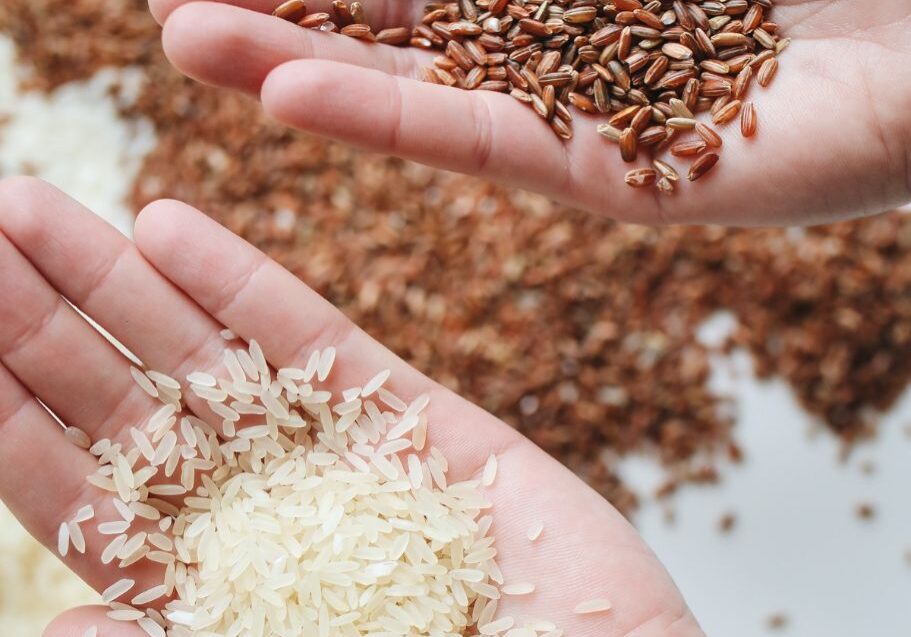 Two hands hold white and brown rice - Starting Solids Australia resource article